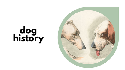Dog History
